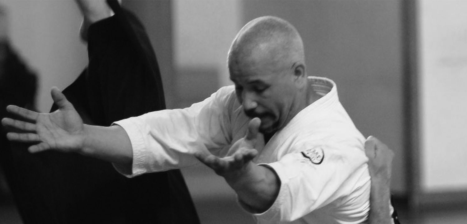 din 1991  pe tatami